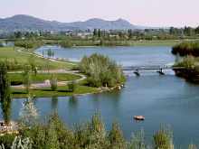 Rheinaue